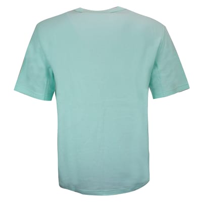Puma Downtown Heren T-shirt Casual Logo Mint 578308 34