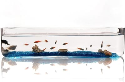 Glazen Aquarium - Viskom Rechthoekig - Kleine Vissen Houden - Ecologisch Ontwerp - Maat M - Transparant