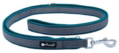 Petlando Trainingslijn Outdoor Petrol & Grijs - Hondenriem - 230x1.5 cm - maat S