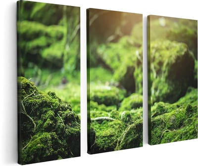 Artaza Canvas Schilderij Drieluik Groen Mos Bedekt over Stenen - 120x80 - Foto Op Canvas - Canvas Print
