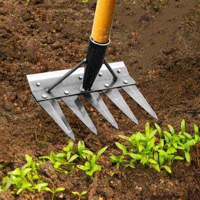 Tuinhark Multifunctioneel - Onkruidverwijderaar Gazon - Tuin Onderhoud - Dubbelzijdig Ontwerp - 5 Tanden - Metaal