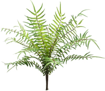 Fern blechnum bush 25 cm kunstbloem zijde nepbloem Emerald