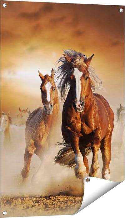 Gards Tuinposter Wilde Paarden in het Zand - 60x90 cm - Tuindoek - Tuindecoratie - Wanddecoratie buiten - Tuinschilderij