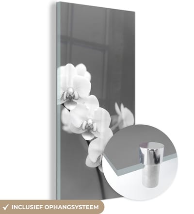 MuchoWow® Glasschilderij 60x120 cm - Schilderij acrylglas - Orchidee - Bloemen - Plant - Wit - Paars - Foto op glas - Schilderijen