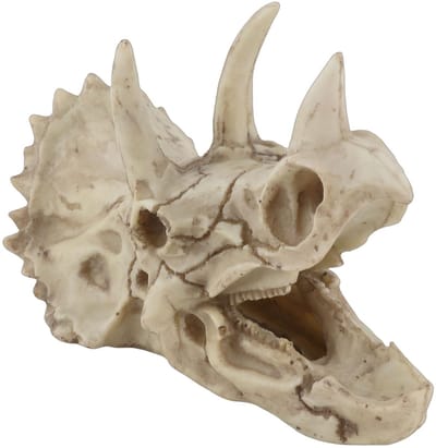 Dailygoody - Hars Dinosaurus Triceratops Schedel Model - Decoratief Display - Bruin-grijs - Skelet Imitatie - Thuis Kantoor Decoratie - Uniek Handwerk