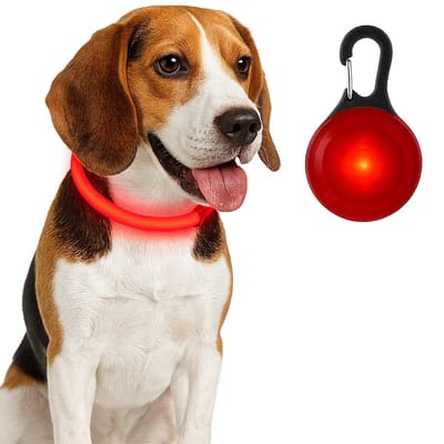 Professor Q – LED Halsband + LED Lampje voor Hond – Rood – Maat XL (60-70 cm) – USB Oplaadbaar – Maximale Zichtbaarheid & Veiligheid
