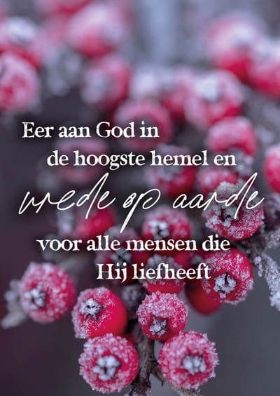 Kerstkaart 'Gezegende kerstdagen - besjes ' 12 stuks met envelop