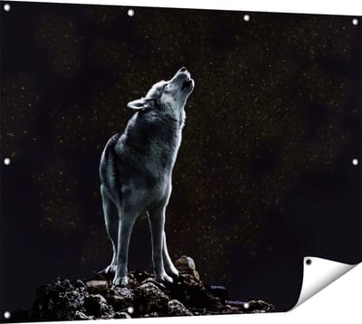 Gards Tuinposter Wolf Huilt naar de Volle Maan - 120x90 cm - Tuindoek - Tuindecoratie - Wanddecoratie buiten - Tuinschilderij