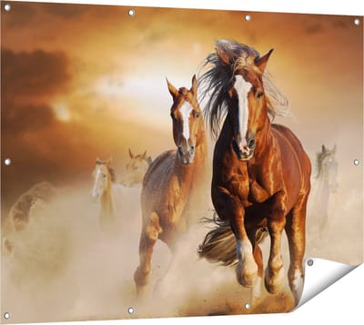 Gards Tuinposter Wilde Paarden in het Zand - 120x90 cm - Tuindoek - Tuindecoratie - Wanddecoratie buiten - Tuinschilderij