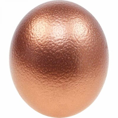 Struisvogelei decoratie uitgeblazen Paasdecoratie koper Ø12cm H14cm