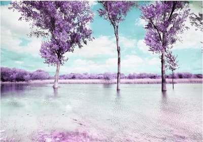 Fotobehangkoning - Behang - Vliesbehang - Fotobehang Heide - Weide - Heather landscape - 200 x 140 cm