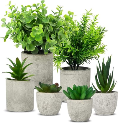 SnelShoppen - Set van 6 Mini Kunstplanten, Slangentong, Agave Succulent en Aloë, Nepplanten voor Thuis, Slaapkamer, Badkamer, Keuken en Kantoor, Binne