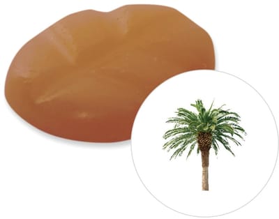 Scentchips® Tropisch Hout - Geurblokjes - Huisparfum - Geurchips - Waxmelts - Geschikt voor Geurbrander en Waxbrander - S - 8 Stuks