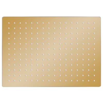 vidaXL - Regendouchekop - rechthoekig - 40x30 - cm - roestvrij - staal - goudkleurig