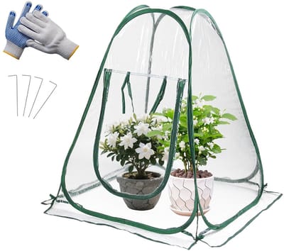 Dailygoods - Broeikas 70 x 70 x 80 cm, pvc-overwinteringstent voor planten met bodemnagels, handschoenen en opbergtas, kleine broeikas voor groenten, bloemen en potplanten, winterbescherming planten