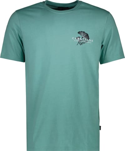 Cars Jeans Raddler Ts Print Mint Maat: S | T-shirts met Print Outlet | Heren | Groen
