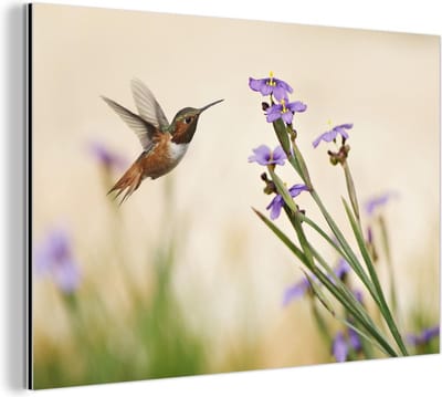 Aluminium schilderij 180x120 cm - Wanddecoratie metaal - Vogel - Kolibrie - Bloemen - Paars - Metalen muurdecoratie woonkamer - Decoratie industrieel - Foto op dibond - Industriële accessoires slaapkamer