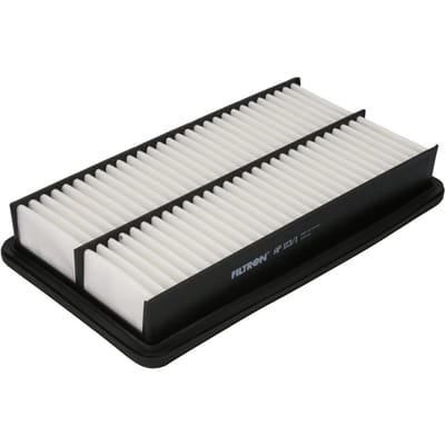 Luchtfilter FILTRON AP113/1