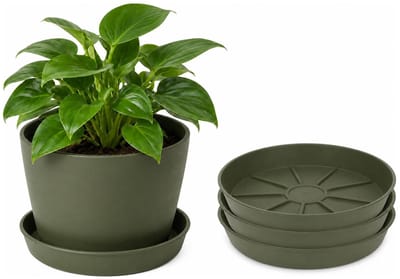 Pro Garden plantenpot onder schotel - 3x - opvang schaal - donkergroen - dia 29 cm - Kunststof