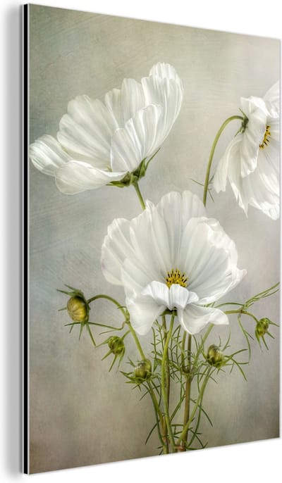 Aluminium schilderij 60x80 cm - Wanddecoratie metaal - Bloemen - Stilleven - Klaproos - Wit - Botanisch - Metalen muurdecoratie woonkamer - Decoratie industrieel - Foto op dibond - Industriële accessoires slaapkamer