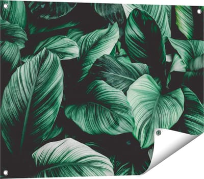 Gards Tuinposter Tropische Groene Bladeren - 80x60 cm - Tuindoek - Tuindecoratie - Wanddecoratie buiten - Tuinschilderij