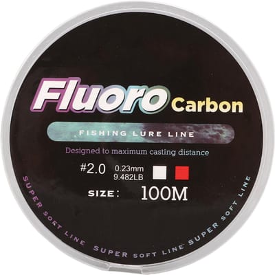 100M Ligne de Pêche Super Résistante en Nylon pour Leurre Carpe Tressée Résistante à l'Abrasion Ligne Principale de Pêche #2.0 white
