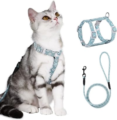 Daity Bloemenpatroon kattenharnas met riem - kattenriem met harnas voor katten met ronde lanyard - ontsnappingsbestendig - verstelbare borstband - geschikt voor kleine en middelgrote katten