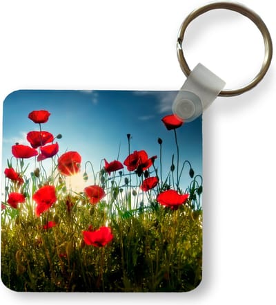 Sleutelhanger - Uitdeelcadeautjes - Klaprozen - Toscane - Zon - Rood - Blauw - Plastic