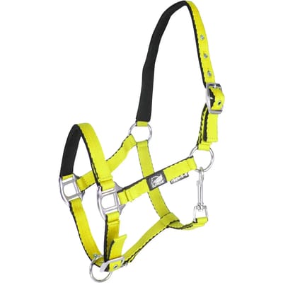 Halsband voor veulen met dubbele afstelling Supreme