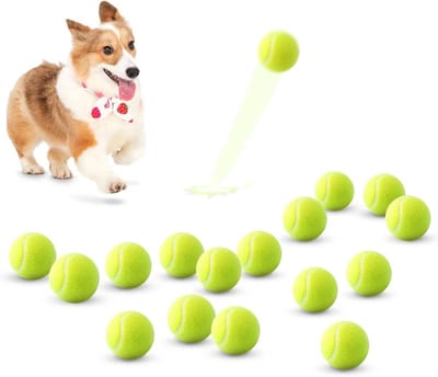 16 Stuks Mini Hondenballen voor Spelen en Trainen - 2 Inch Interactief Speelgoed