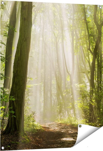 Gards Tuinposter Bos met Bomen en Zonneschijn - 80x100 cm - Tuindoek - Tuindecoratie - Wanddecoratie buiten - Tuinschilderij