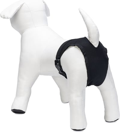 Beeztees Loopsheidbroekje - Hond - M - Nylon - Zwart - 32-37 cm