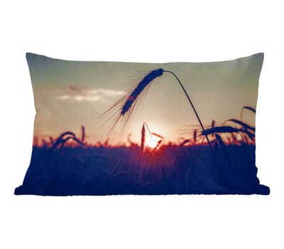 Sierkussens - Kussentjes Woonkamer - 50x30 cm - Gras - Herfst - Zonsondergang - Seizoenen - Landschap