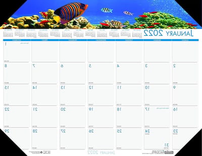 House of Doolittle 2022 Maandelijkse Bureau Pad Kalender, Aardscapes Zee Leven, 18,5 x 13 inch, januari - december (HOD1936-22)