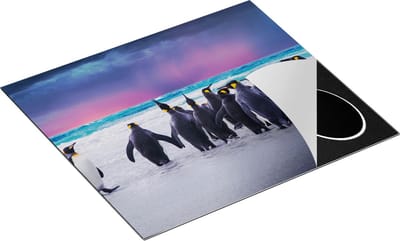 Chefcare Inductie Beschermer Groep Pinguïns bij het Water - Kudde - 60x50 cm - Afdekplaat Inductie - Kookplaat Beschermer - Inductie Mat