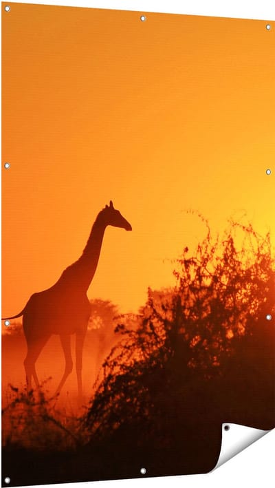 Gards Tuinposter Drie Giraffe Silhouetten bij Zonsondergang - 100x150 cm - Tuindoek - Tuindecoratie - Wanddecoratie buiten - Tuinschilderij