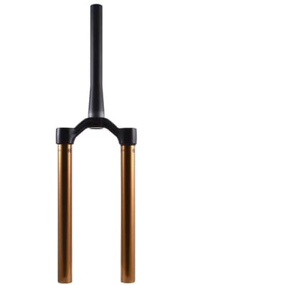 Vorkhoes fiets Fox Factory 2019 34 29in 150 15x110QR Kashima 20mm