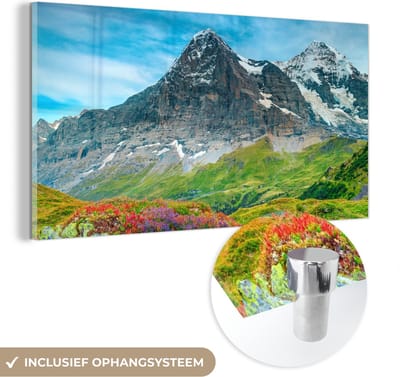 MuchoWow® Glasschilderij 40x20 cm - Schilderij acrylglas - Bloemen - Berg - Sneeuw - Landschap - Foto op glas - Schilderijen