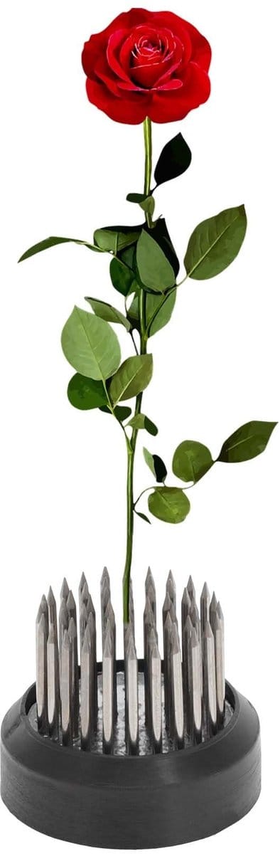 Dailygoods- Bloemenkikker 35 mm - Roestvrij Staal - Kikker met Speld - Bloemenstandaard - Stabiliteit - Ideaal voor Bloemstukken - Bloemschikking