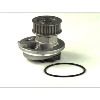 Waterpomp THERMOTEC D1X021TT