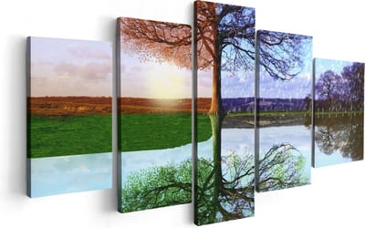 Artaza Canvas Schilderij Vijfluik Vier Seizoenen Boom - 100x50 - Foto Op Canvas - Canvas Print