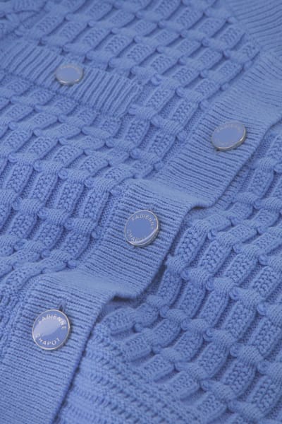 Fabienne Chapot Chin Cardigan French Blue Maat: XS | Cardigans Outlet | Dames | Blauw