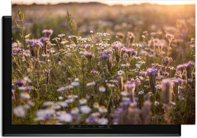 KitchenArt - Evening Meadow - Inductie Beschermer - 90x50 cm - Kookplaat Beschermer - Luxe Afdekplaat Inductieplaat - Anti-slip & Oprolbaar - Beschermmat Inductiekookplaat