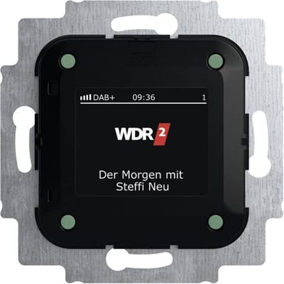 Busch-Jaeger 2CKA008200A0275 Radio Inzetstuk Meerdere kleuren 1 stuk(s)
