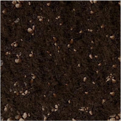 Bloem Potgrond - Plantenmix Aarde - Planten Verzorgen - Speciaal voor Gevoelige Planten - 5 Liter - Bruin