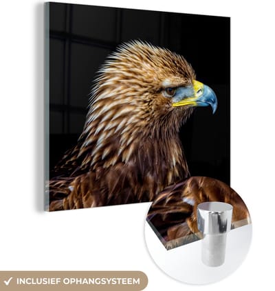 MuchoWow® Glasschilderij 90x90 cm - Schilderij acrylglas - Close-up adelaar tegen zwarte achtergrond - Foto op glas - Schilderijen