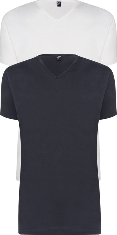 ALAN RED T-shirts Vermont (2-pack) - V-hals - wit en antraciet grijs