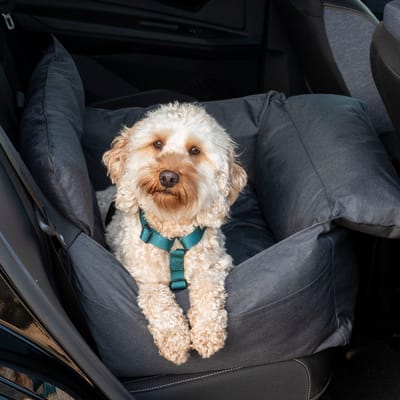Autostoel hond - Antraciet - Hondenmand auto - Honden automand - Autostoel beschermer - Autostoelhoes - Autozitje - Autostoel organizer - Autostoel - Honden autostoel - Wasbaar - Trimmi