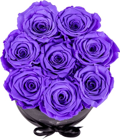 Flowerbox longlife Gigi paars - Rosuz - In luxe Giftbox - 3 jaar houdbare rozen, zonder water! Tijdloos Love Cadeau - Paarse bloem