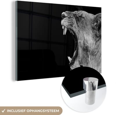 MuchoWow - Glasschilderij - Foto op glas - Dieren - Leeuw - Jungle - Zwart-wit - Wanddecoratie - 150x100 cm - Acrylglas - Muurdecoratie glas - Schilderij leeuw